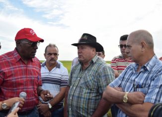 El primer vicepresidente cubano llamó a aumentar la capacidad de almacenamiento y la producción de fuentes de proteínas para la alimentación de la población.