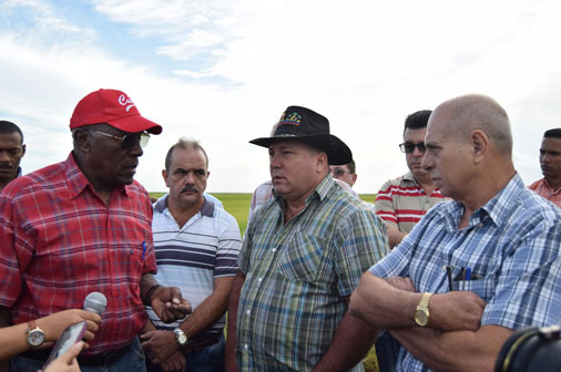 El primer vicepresidente cubano llamó a aumentar la capacidad de almacenamiento y la producción de fuentes de proteínas para la alimentación de la población.