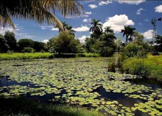 Incluye un recorrido por montañas, ríos, saltos de agua, ciénaga y el mundo subacuático, que Turnat prepara del 24 al 28 de septiembre sobre todo en la Ciénaga de Zapata.