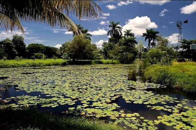 Incluye un recorrido por montañas, ríos, saltos de agua, ciénaga y el mundo subacuático, que Turnat prepara del 24 al 28 de septiembre sobre todo en la Ciénaga de Zapata.