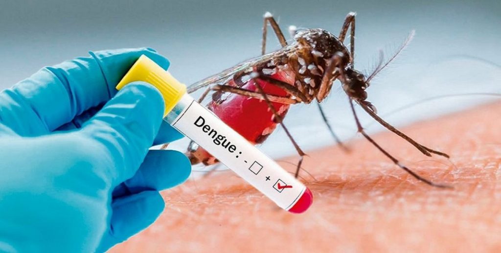 El programa científico contempla la conferencia: Situación actual del dengue y otros arbovirus emergentes: zika, chikungunya y fiebre amarilla.