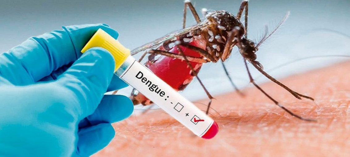 El programa científico contempla la conferencia: Situación actual del dengue y otros arbovirus emergentes: zika, chikungunya y fiebre amarilla.