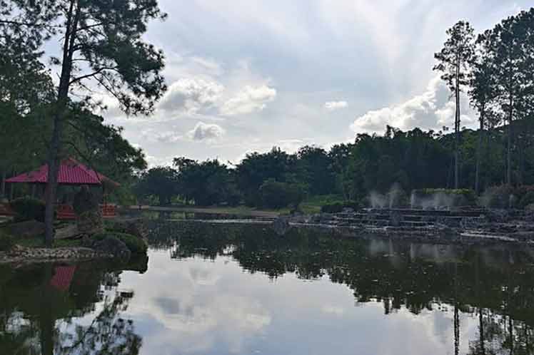 El jardín Japonés es uno de los sitios más visitados del Botánico Nacional. 