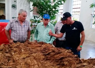 El Segundo Secretario del Comité Central del Partido visitó el Centro de proceso de tabaco en rama para la exportación de la Empresa de Acopio y Beneficio y el primer almacén con tecnología Metunas que se construye en la provincia.