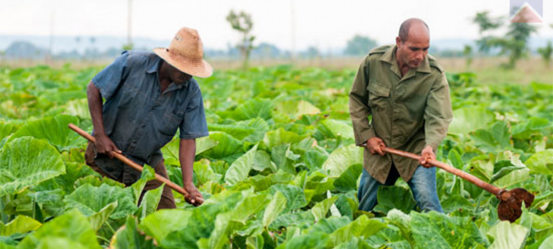 El proyecto, que cuenta con un financiamiento de 20 millones de euros, persigue incrementar de forma sostenible la producción de alimentos de calidad para responder a la demanda local.