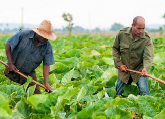 El proyecto, que cuenta con un financiamiento de 20 millones de euros, persigue incrementar de forma sostenible la producción de alimentos de calidad para responder a la demanda local.