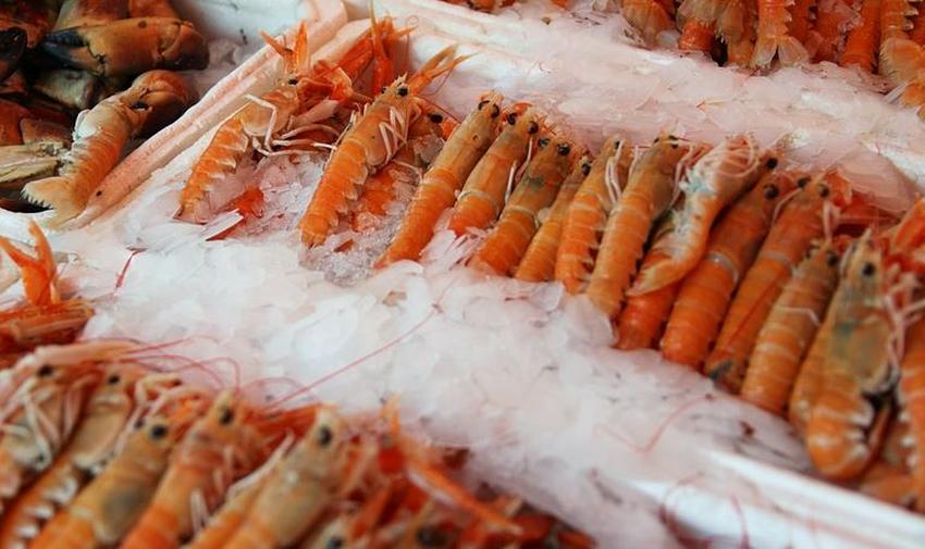 Las máximas autoridades cubanas han hecho un llamado a aumentar las exportaciones para hacer frente a la agresividad de la actual administración estadounidense y la aplicación extraterritorial del bloqueo.