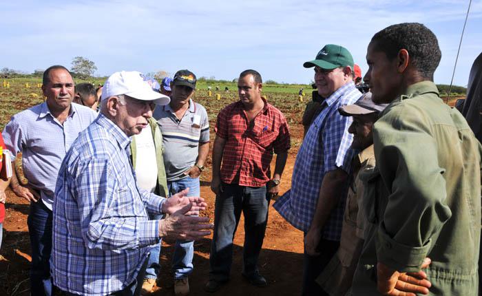 Aumentar la producción agrícola forma parte de la estrategia para alcanzar la soberanía alimentaria.