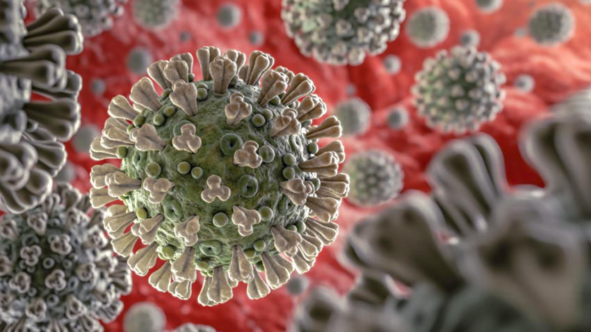 coronavirus2