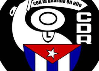 Vicecoordinador Nacional de los Comités de Defensa de la Revolución (CDR)