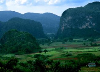 Odalys Caridad Goicochea Cardoso, directora de Medio Ambiente del CITMA, informó que se realiza el anuncio este viernes por ser el Día Mundial de la Biodiversidad. Como destacadas resultaron las provincias de Villa Clara, Camagüey y Granma.