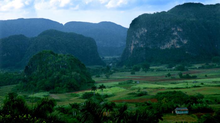 Odalys Caridad Goicochea Cardoso, directora de Medio Ambiente del CITMA, informó que se realiza el anuncio este viernes por ser el Día Mundial de la Biodiversidad. Como destacadas resultaron las provincias de Villa Clara, Camagüey y Granma.