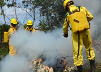 cvi 10052020 inicia semana proteccion incendios