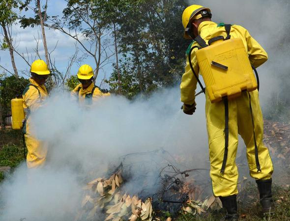 cvi 10052020 inicia semana proteccion incendios