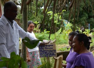 El Grupo Parlamentario de Amistad Brasil-Cuba manifestó este miércoles su apoyo a la propuesta de Premio Nobel de la Paz para las brigadas médicas cubanas del Contingente Henry Reeve, por su incuestionable contribución solidaria en el enfrentamiento a la COVID-19 en varias naciones del orbe.