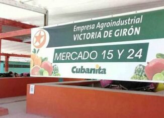 En la céntrica esquina de 15 y 24, del municipio Plaza de la Revolución, los vecinos se organizaron para comprar viandas y frutas en el Mercado Agropecuario Estatal de nuevo tipo creado allí, el cual forma parte de 47 que abrirán en la capital.