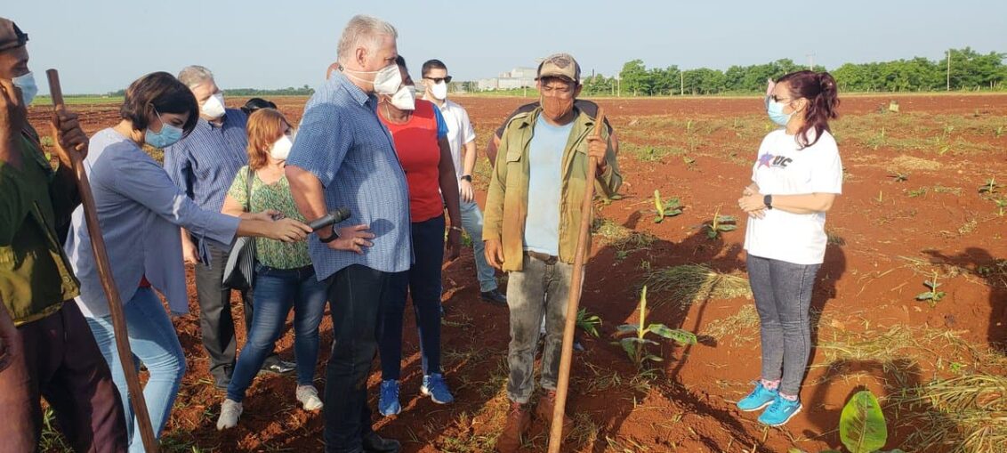 El mandatario cubano se interesa por la gestión de tierras, rotaciones de cultivos, fuerza de trabajo, salarios, la comercialización y pagos, incluyendo en divisas, de las producciones e insumos, los precios a la población y la autonomía en la gestión.