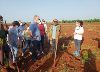 El mandatario cubano se interesa por la gestión de tierras, rotaciones de cultivos, fuerza de trabajo, salarios, la comercialización y pagos, incluyendo en divisas, de las producciones e insumos, los precios a la población y la autonomía en la gestión.