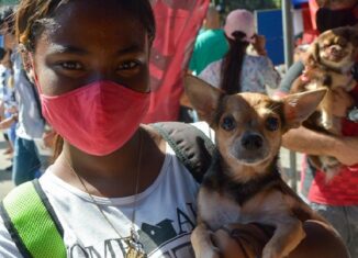 “El 4 de octubre está declarado como #DíaMundialDeLosAnimales. Este año lo celebramos con la reciente entrada en vigor del Decreto-Ley sobre #BienestarAnimal, un viejo anhelo de todos los cubanos #CubaLegisla”, tuiteó el Presidente de la República.