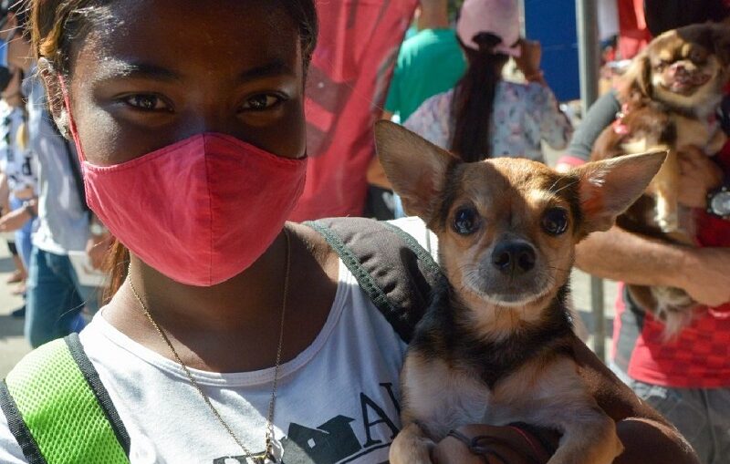 “El 4 de octubre está declarado como #DíaMundialDeLosAnimales. Este año lo celebramos con la reciente entrada en vigor del Decreto-Ley sobre #BienestarAnimal, un viejo anhelo de todos los cubanos #CubaLegisla”, tuiteó el Presidente de la República.