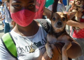 El Centro Nacional de Sanidad Animal de Cuba (Cenasa), hizo públicos el Reglamento Funcional para la Actividad Asistencial Veterinaria en Cuba, acompañado del procedimiento de acreditación de Servicios Veterinarios Asistenciales.