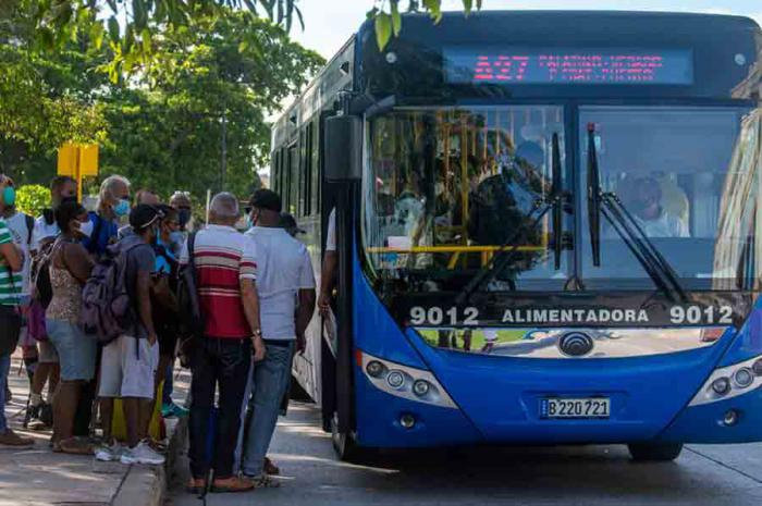 Esta semana se dispondrán otros 40 ómnibus para reforzar el servicio en los puntos de alta concentración de personas durante los horarios pico de la mañana y la tarde.