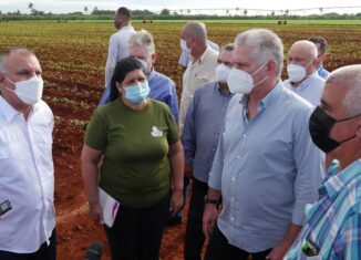El presidente Miguel Díaz-Canel instó a aplicar las capacidades científicas de Cuba para impulsar la producción de alimentos, un programa priorizado en la isla frente a los efectos del bloqueo de Estados Unidos.