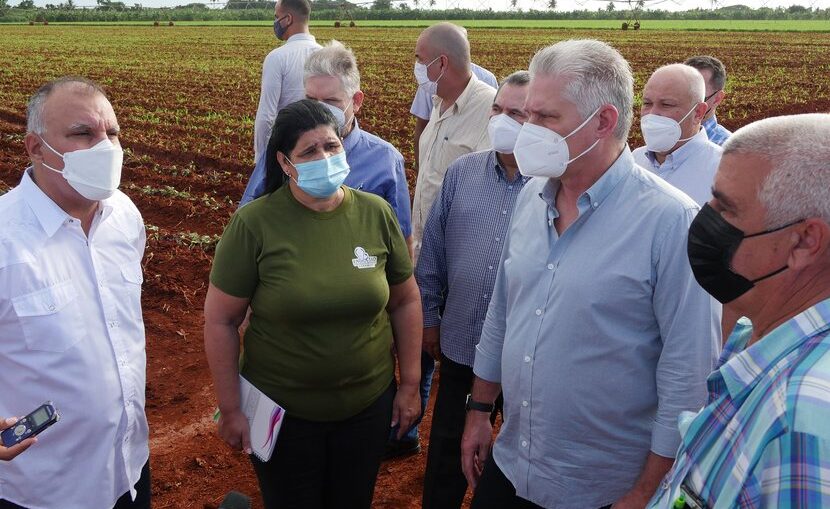 El presidente Miguel Díaz-Canel instó a aplicar las capacidades científicas de Cuba para impulsar la producción de alimentos, un programa priorizado en la isla frente a los efectos del bloqueo de Estados Unidos.