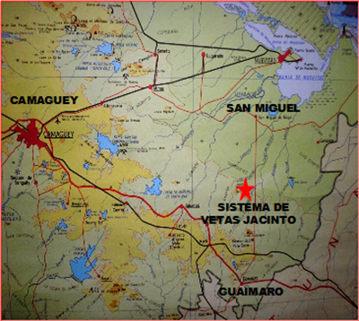 En el sistema Jacinto se han identificado hasta la actualidad diez vetas. Las tres más estudiadas, y ahora entregadas por el Servicio Geológico como parte del proyecto que pasará al estudio de factibilidad, son El Limón Nuevo, Beatriz y Sur de Elena.