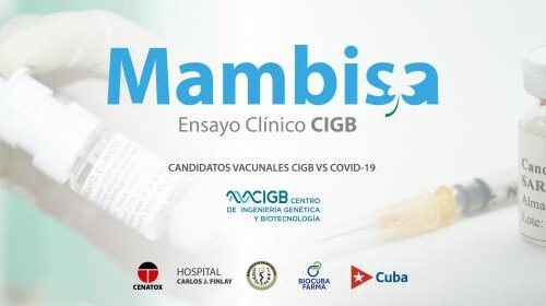 Mambisa es uno de los 11 candidatos vacunales del mundo, en estudios clínicos, que se administran por vía nasal, explicó el Dr. Gerardo Guillén Nieto, director de investigaciones Biomédicas del Centro de Ingeniería Genética y Biotecnología (CIGB).